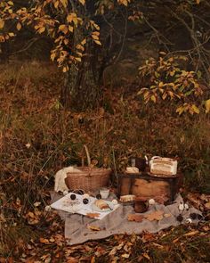 an outdoor picnic is set up in the woods