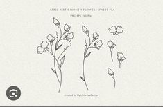 three flowers are shown with the words,'april birth month flower sweet pea '