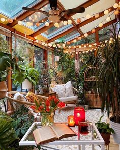 a living room filled with lots of plants and furniture