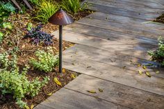 a lamp on a wooden walkway surrounded by plants