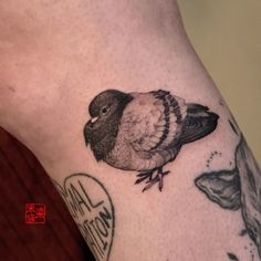 Symmetrical Bird Tattoo, Pigeon Tattoo Traditional, Pet Bird Tattoo, Largemouth Bass Tattoo, Bird Tattoos On Back, Fat Bird Tattoo, Animal Silhouette Tattoo, Torogoz Tattoo, Dead Bird Tattoo