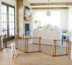 a dog sitting in front of a living room with an open gate on the floor