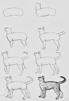 an image of cats that are drawn in pencil