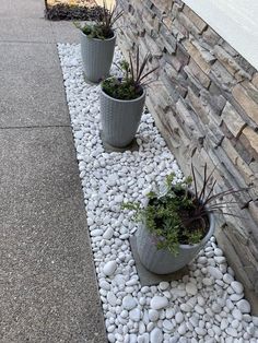 three potted plants sitting next to a stone wall on the side of a road