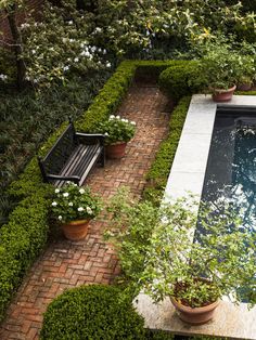 an outdoor pool surrounded by plants and potted trees, with a bench in the middle