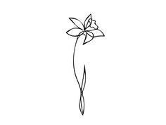 a simple line drawing of a flower on a white background