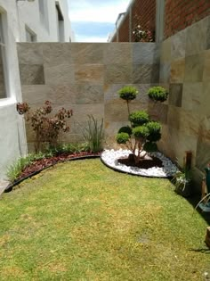 a small garden in the corner of a building with grass and rocks on the ground