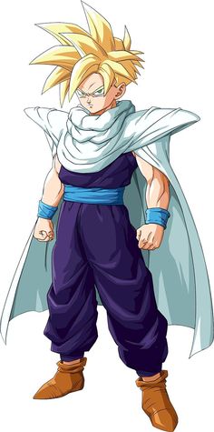 the dragon ball character is dressed in blue and white