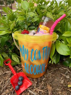 a plastic bucket with strawberries in it sitting on the ground next to some plants