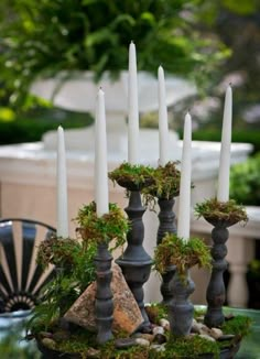 there are many candles on the table with moss and rocks in them, as well as some plants