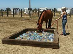 a woman standing next to a horse drinking water from a trough filled with plastic bottles