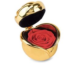 a gold heart shaped box with a red rose inside