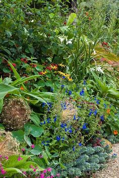 a garden filled with lots of different types of flowers and plants next to each other