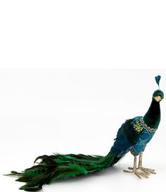 a peacock standing on top of a white floor