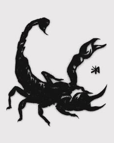 a black and white image of a scorpion on a white background with the word,'scorpion'written below it