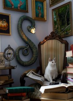 a white cat sitting on top of a chair next to a pile of books and pictures