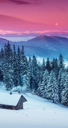 a house in the middle of a snowy field with trees and mountains in the background