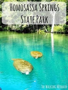 two rocks in the water with text overlay that reads, homossa springs state park