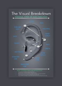 the visual breakdown book cover with an ear diagram and description in blue on grey background