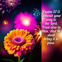 a colorful flower with fireworks in the background and a bible verse written below it that says,