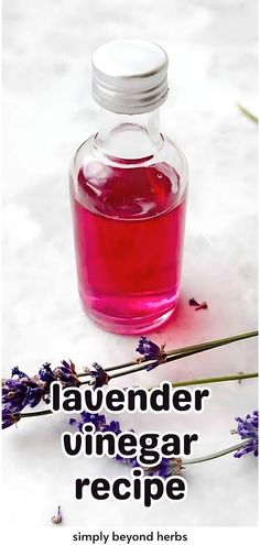 Enhance your Herb Infused Vinegar Recipes collection with this lavender vinegar recipe. This simple recipe, made with only 2 ingredients, is perfect for healthy skin, soft laundry, and kitchen cleaning. Discover the many uses and benefits of lavender vinegar. Find more herbs for health, healing flowers, and lavender benefits at simplybeyondherbs.com. Bartender Ideas, Herbs Healing, Organic Cleaners, Benefits Of Lavender, Aphrodisiac Foods, Lavender Recipes