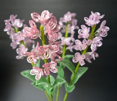 some pink flowers are in a vase with green leaves on the side and one is purple