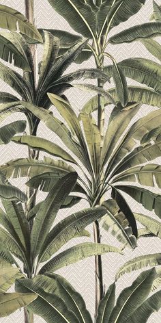 Palm leaves wallpaper designs African Jungle, Tropical Luxury, Luxury Wallpaper, Wallpaper Calculator, London Art, Wallpaper Samples, Of Wallpaper, Cool Wallpaper, Pattern Wallpaper