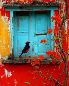 a red and black bird sitting on the ledge of a window with blue shutters