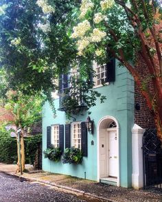 a blue house with black shutters on the front and side windows, surrounded by trees