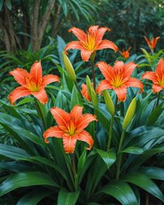 orange flowers are blooming in the middle of some green leaves and plants with trees in the background