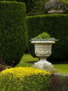 a large white urn sitting in the middle of a garden