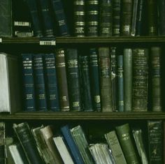 several rows of books on shelves in a library