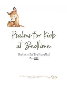 the front cover of a children's bedtime book