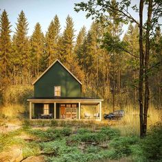 a green house in the woods surrounded by tall grass and trees with a car parked outside