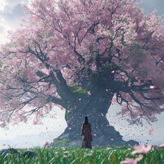 a person standing in front of a large tree with pink flowers on it's branches