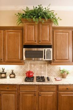 a kitchen with wooden cabinets and a potted plant on the top of the stove