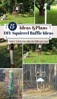 several different types of bird feeders in the yard with text overlay that reads 17 ideas and plans diy squirrel baffle