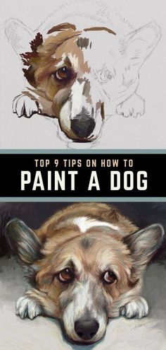 a dog laying down with the title top 9 tips on how to paint a dog