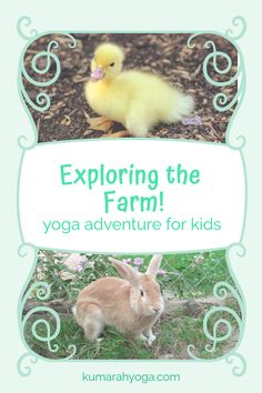 Get ready for a farm-tastic yoga adventure! 🌾 Join us as we explore Kumarah's Farm Yoga Adventure for Kids, designed to teach kiddos mindfulness and connection to nature through fun exercises. 🧘‍♀️🐐🧺 Farm Animal Yoga, Animal Yoga Poses, Farm Yoga