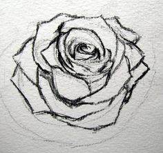 a black and white drawing of a rose