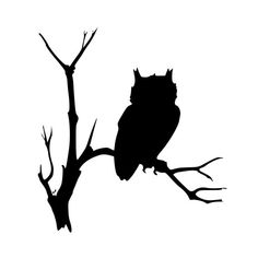 an owl sitting on top of a tree branch silhouetted against a white sky background