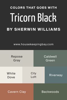 the colors that goes with tricorn black by sherwin williams