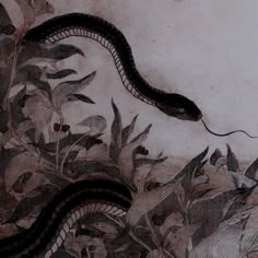 a drawing of a snake in the middle of some plants and leaves with another snake on it's back