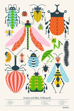 a poster with different types of bugs and other insect species on it's back