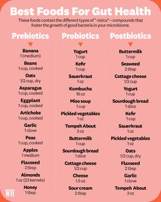 Healing The Gut, Foods For Gut Health, Heal Your Gut, Gut Health Diet, Gut Health Recipes, Prebiotics And Probiotics, Probiotic Foods, Improve Gut Health, Gut Healing