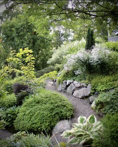 a garden filled with lots of green plants and rocks