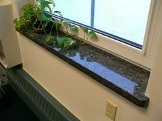 a window sill with plants growing in it