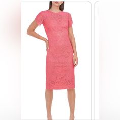 Brand New Never Worn. With All Tags On. Pretty Lace Overlay. Pinky Coral Color Size6. The Lighting In My Photos Makes The Dress Look More Orange. But It Is Pink. It Looks Like The Color On The Model In Person. Measurements In Pics Spring Lace Midi Dress For Workwear, Chic Lace Dress For Spring Workwear, Chic Lace Dress For Workwear In Spring, Spring Bodycon Lace Dress For Date Night, Spring Lace Bodycon Dress For Date Night, Summer Sheath Lace Dress For Formal Occasions, Feminine Fitted Midi Lace Dress, Chic Pink Lace Dress With Short Sleeves, Summer Formal Sheath Lace Dress