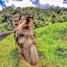 two women riding on the back of an elephant through lush green grass and brush with trees in the background