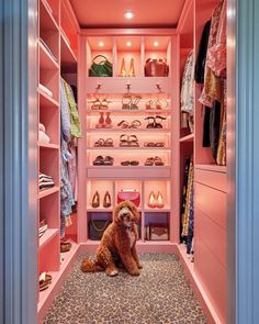 a dog sitting in the middle of a closet